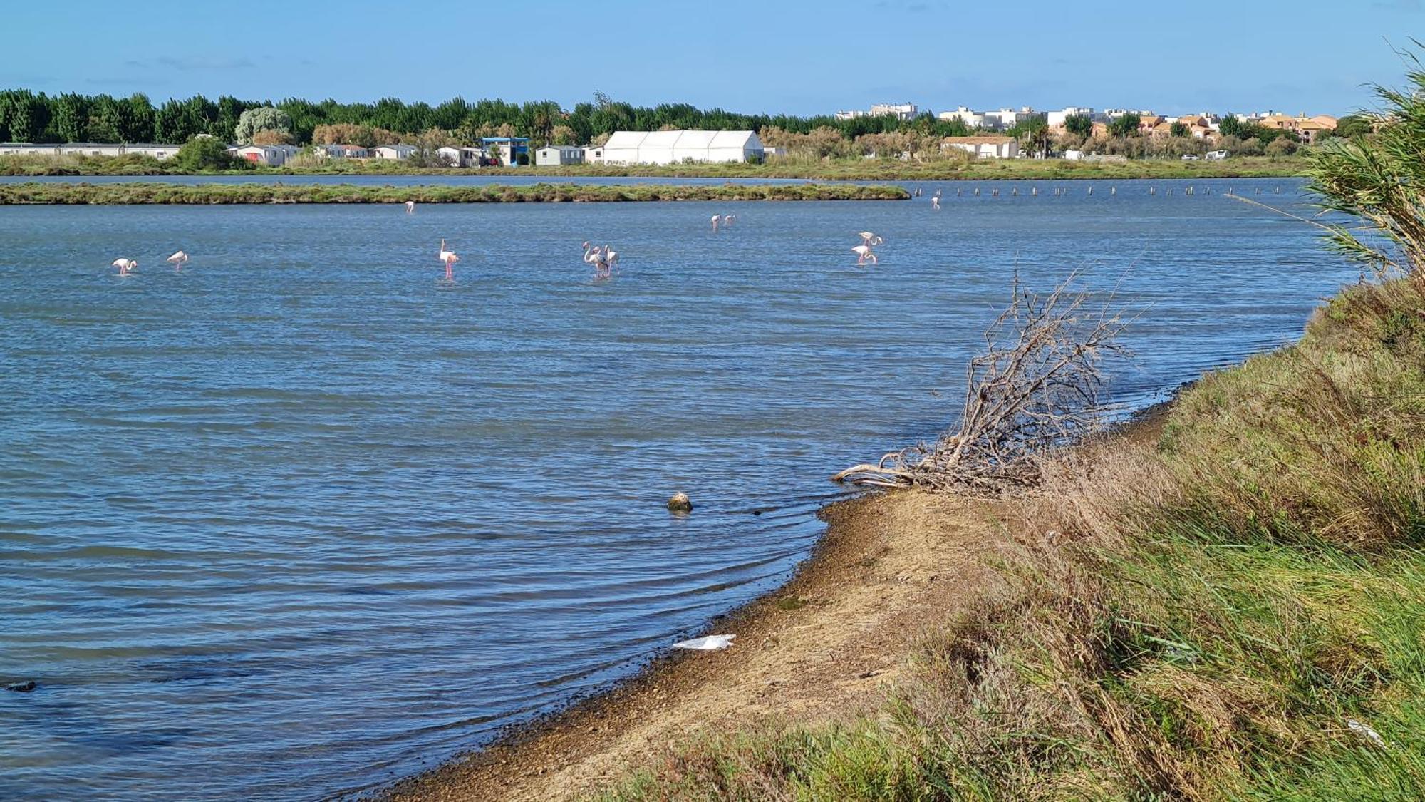 Mobilhome Au Les Salins De La Gardiole Ex Europe Campsite *